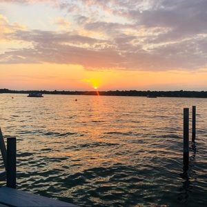 Meet your Posher, Tybee